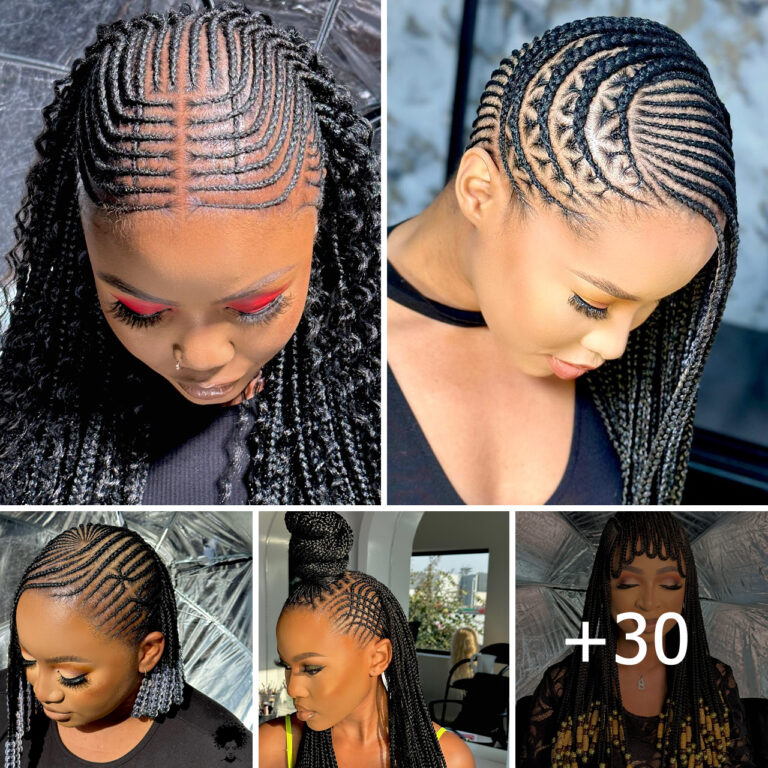 [gallery] 40 Braided Hairstyles 2024 Pictures Vol3 8 Explore Trending