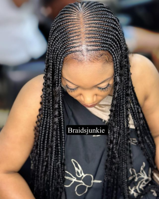 [GALLERY] – 46 Stunning Braided Hairstyles for 2024: A Comprehensive ...